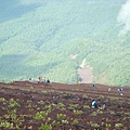 折磨人的下山道.JPG