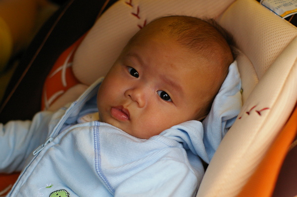 IMGP5688.JPG
