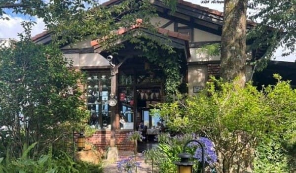 清境旅遊全攻略:清境一泊二食、景觀餐廳推薦,享受山景美食與悠閒時光!02 (1) (1).jpg 清境旅遊全攻略:清境一泊二食、景觀餐廳推薦,享受山景美食與悠閒時光!02 (1) (1).jpg