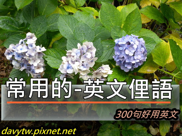 常用的生活英文俚語300句 常用英文 你才不會忘記blog 痞客邦 常用的生活英文俚語300句 常用英文 你才不會忘記blog 痞客邦