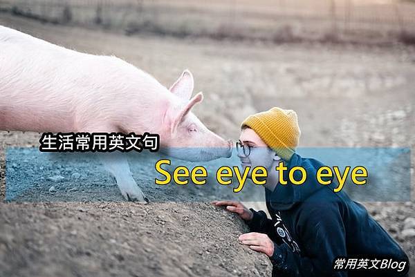 "See eye to eye"中文意思