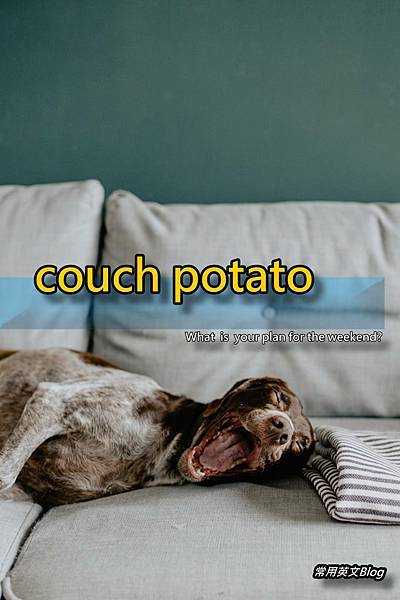 couch potato