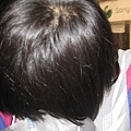 IMG_0639花媽的假髮.JPG