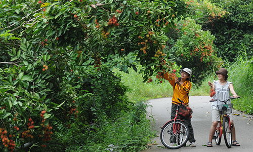 TAT-Fruits_Orchard_Tour_03-500x300