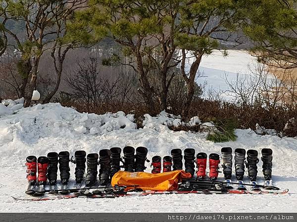 陽志滑雪渡假村38