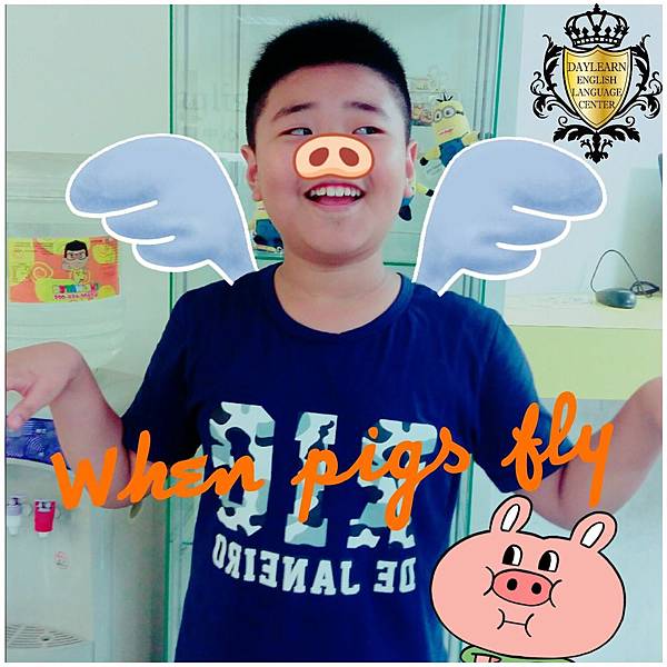#6 When pigs fly #6 When pigs fly