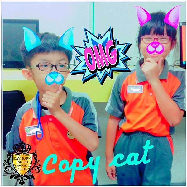 20161031 copy cat.jpg 20161031 copy cat.jpg