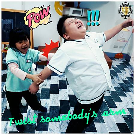 20170411 twist sbs arm.jpg 20170411 twist sbs arm.jpg
