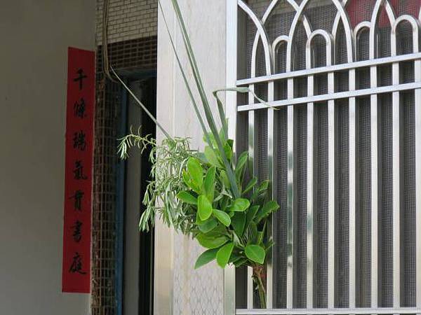 「菖蒲、艾草」的圖片搜尋結果