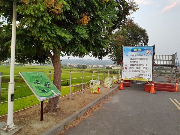 花壇彩繪稻田2.jpg 花壇彩繪稻田2.jpg