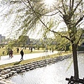 圓林園-員林過溝滯洪池公園6.jpg