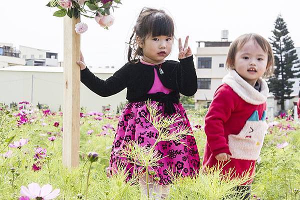 彰化市花海「幸福萌芽，無限花想」-彰化市彰草路15.jpg