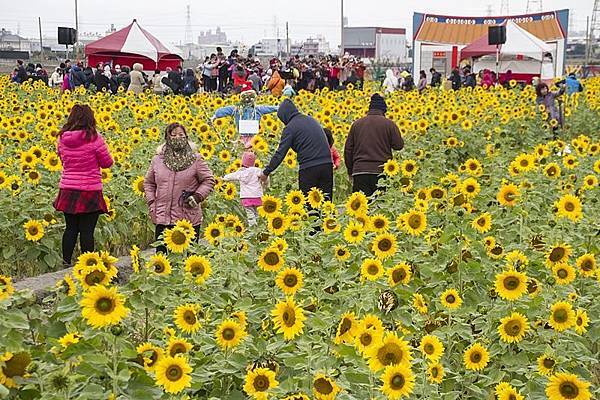 花壇崙雅社區 稻田花海音樂響宴 辰星美容美體spa館 痞客邦 花壇崙雅社區 稻田花海音樂響宴 辰星美容美體spa館 痞客邦