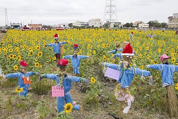 花壇崙雅社區 稻田花海音樂響宴 辰星美容美體spa館 痞客邦 花壇崙雅社區 稻田花海音樂響宴 辰星美容美體spa館 痞客邦