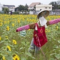 花壇鄉崙雅社區「花現崙雅 稻田花海 音樂響宴」稻草人裝置藝術3.jpg