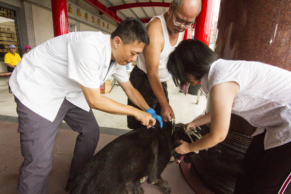 彰化縣寵物登記及狂犬病疫苗預防注射巡迴活動5.png