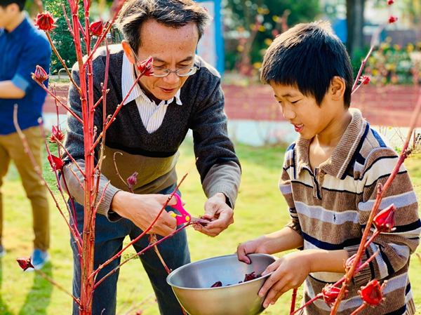 彰化縣廣興校園洛神花豐收 巧製湯圓及公益義賣品3.png 彰化縣廣興校園洛神花豐收 巧製湯圓及公益義賣品3.png