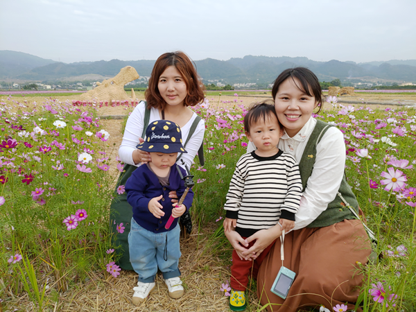 田中望高寮波斯菊花海盛開 景緻美不勝收1.png 田中望高寮波斯菊花海盛開 景緻美不勝收1.png