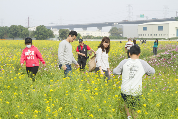 花漾和美 金豬吉祥賀新春2.png 花漾和美 金豬吉祥賀新春2.png