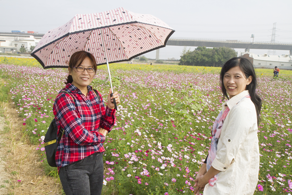 花漾和美 金豬吉祥賀新春1.png 花漾和美 金豬吉祥賀新春1.png