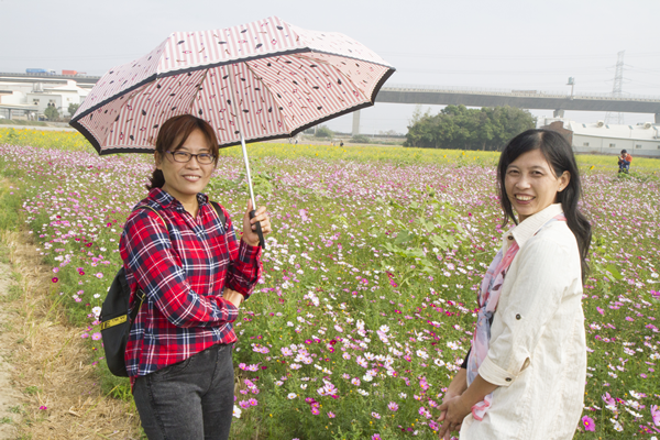 花漾和美 金豬吉祥賀新春1.png