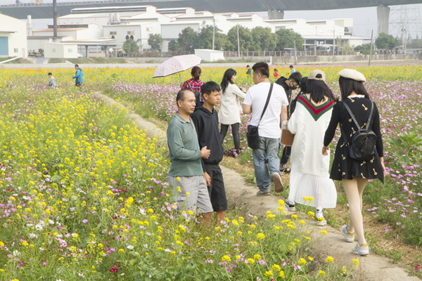 花漾和美 金豬吉祥賀新春3.png 花漾和美 金豬吉祥賀新春3.png
