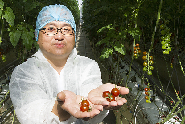 番茄方舟獨家「琥番茄」發表 茄紅素倍增高營養價值1.png 番茄方舟獨家「琥番茄」發表 茄紅素倍增高營養價值1.png
