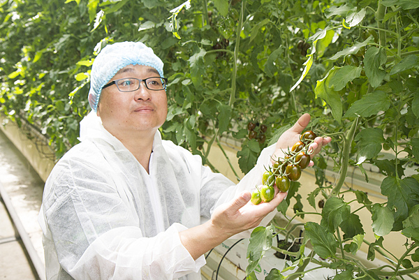 番茄方舟獨家「琥番茄」發表 茄紅素倍增高營養價值2.png