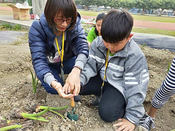 廣興國小跨縣遊學交流 大甲芋頭食農教育體驗3.png