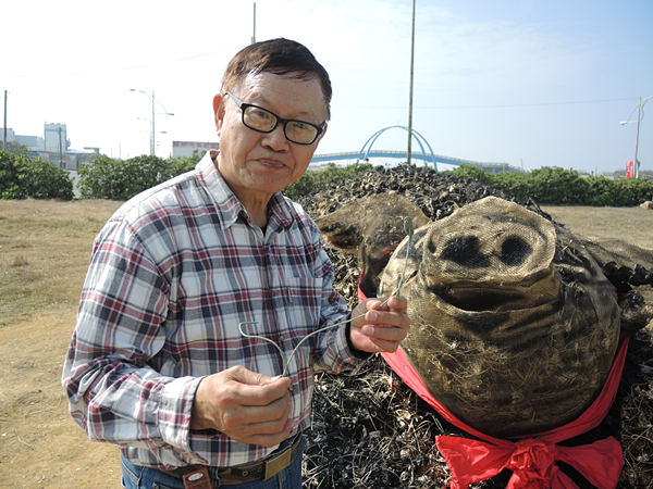 王功蚵藝祈福豬亮相 蚵殼變身福氣豬迎春3.png 王功蚵藝祈福豬亮相 蚵殼變身福氣豬迎春3.png