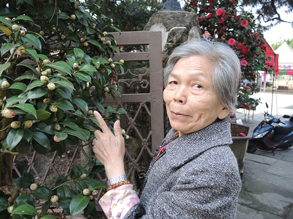 彰化社頭清水岩寺茶花展 茶花飄香爭奇鬥艷9.png