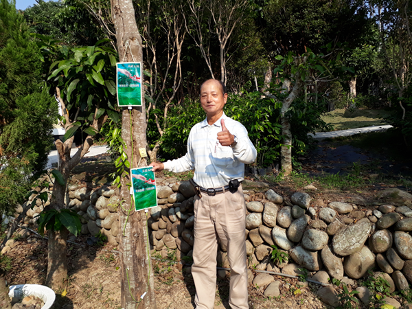 吊點滴的樹竟錢途無量 沉香培育園區藏匿社頭鄉山區6.png