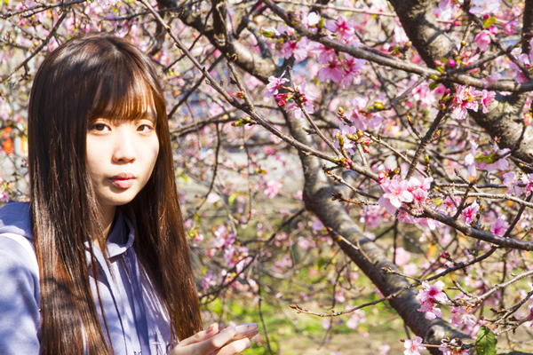 芬園花卉園區賞櫻 一睹櫻花嬌顏1.png 芬園花卉園區賞櫻 一睹櫻花嬌顏1.png