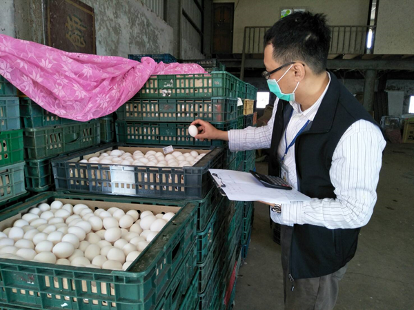 彰化再爆芬普尼雞蛋 業者喊冤均檢驗通過1.png 彰化再爆芬普尼雞蛋 業者喊冤均檢驗通過1.png