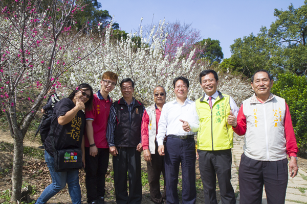 花壇虎山岩李花盛開 228連假賞花趣1.png