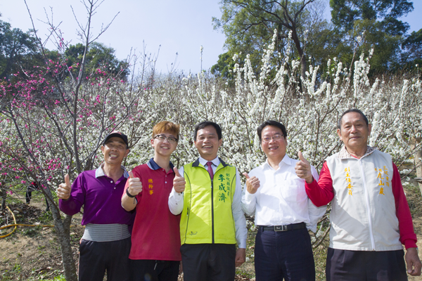 花壇虎山岩李花盛開 228連假賞花趣2.png