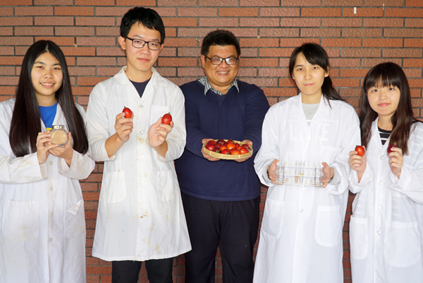大葉大學藥保系李柏憲老師(中)帶領學生做實驗,證實樹番茄有助於傷口癒合.png 大葉大學藥保系李柏憲老師(中)帶領學生做實驗,證實樹番茄有助於傷口癒合.png