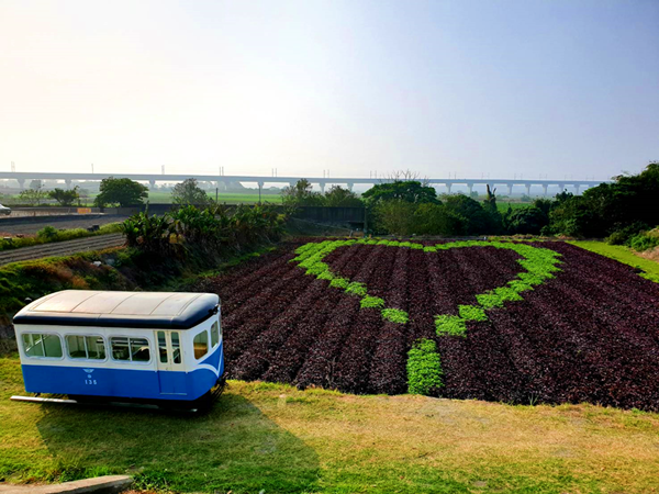 五分車還原阿爸的回憶 台糖135巡道車重返竹塘老街1.png