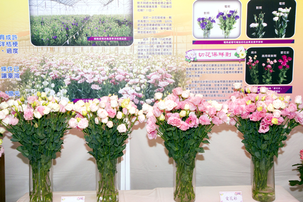 彰化大村鄉「台中區農改場」開放日 洋桔梗春之饗宴3.png 彰化大村鄉「台中區農改場」開放日 洋桔梗春之饗宴3.png