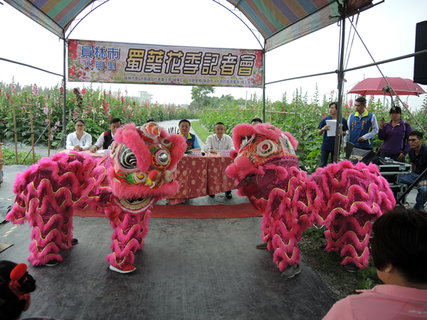 員林市蜀葵花田開園 「草泥馬」漫步蜀葵花海3.png