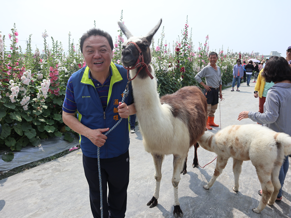 員林蜀葵花觀光園遊會 南區運動公園盛大開幕1.png 員林蜀葵花觀光園遊會 南區運動公園盛大開幕1.png
