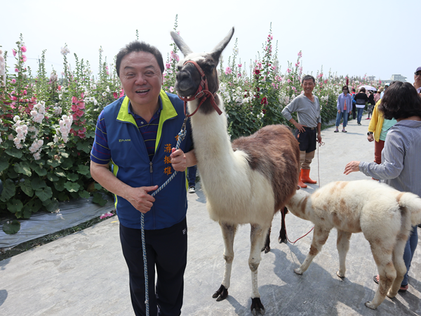 員林蜀葵花觀光園遊會 南區運動公園盛大開幕1.png