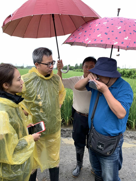 秋行軍蟲入侵彰化縣 芳苑、溪湖淪陷15日採焚燒加速殲滅5.png