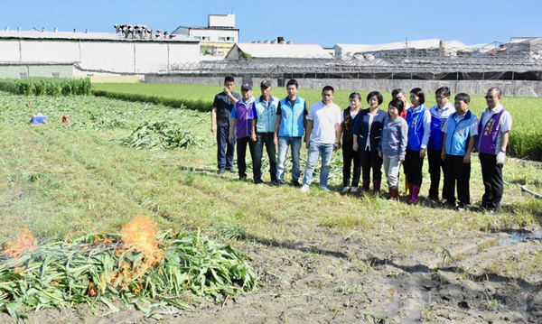 秋行軍蟲入侵彰化啟動災害緊急應變 王惠美今視察焚燒撲殺防疫作業1.png