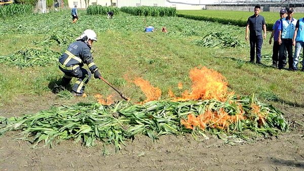 秋行軍蟲撲滅緊急焚燒不違反空汙法 彰化縣把握黃金期遏止疫情擴大1.png 秋行軍蟲撲滅緊急焚燒不違反空汙法 彰化縣把握黃金期遏止疫情擴大1.png