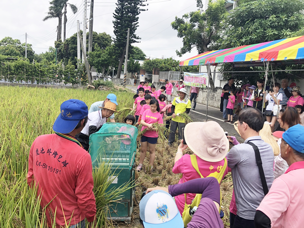 埤頭鄉農會推廣休閒農業旅遊 堵南國小學童食農教育下田割稻趣1.png