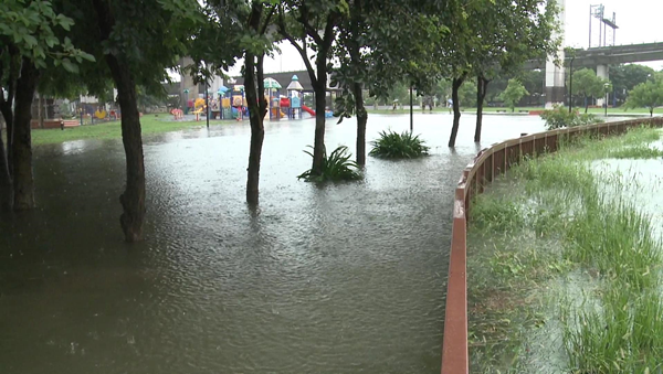 彰化市景觀公園淹水拉封鎖線 魚兒都游上岸了2.png 彰化市景觀公園淹水拉封鎖線 魚兒都游上岸了2.png