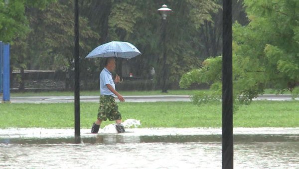 彰化市景觀公園淹水拉封鎖線  魚兒都游上岸了1.png