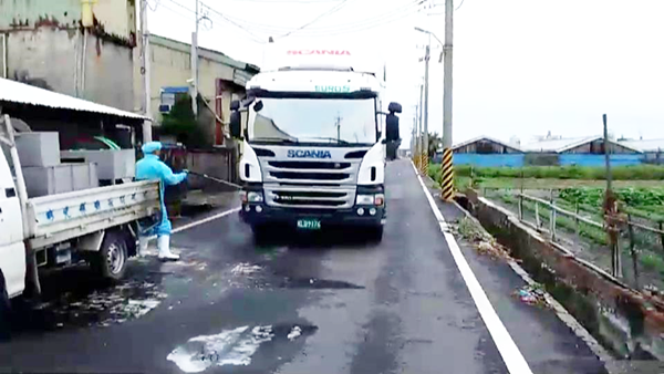 彰化大城鄉爆發土雞禽流感 撲殺逾1萬8千隻2.png 彰化大城鄉爆發土雞禽流感 撲殺逾1萬8千隻2.png
