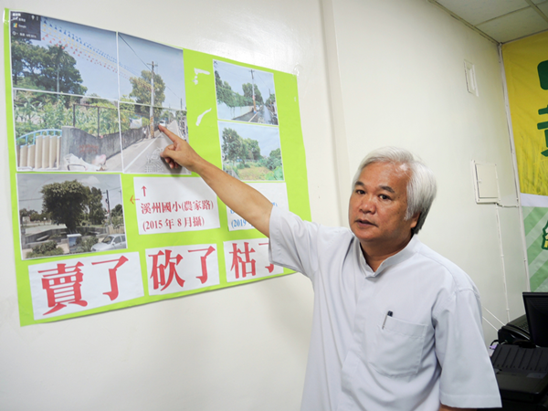 溪州國小5棵老楓樹人間蒸發 黃盛祿:應將綠色資產列為校產1.png 溪州國小5棵老楓樹人間蒸發 黃盛祿:應將綠色資產列為校產1.png